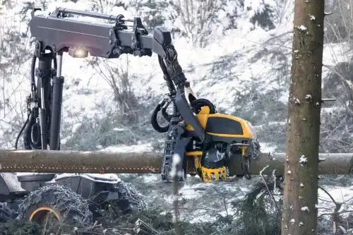 Forstmaschine im Einsatz beim Baumfällen im Winter